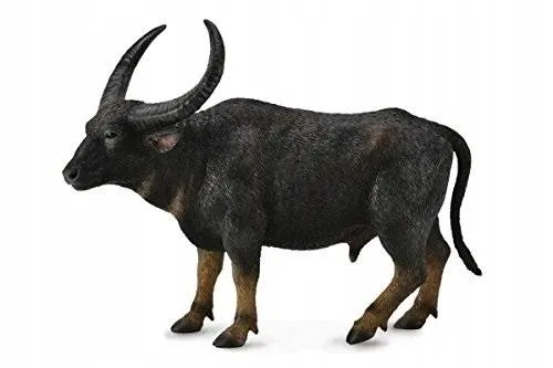 bawol-indyjski