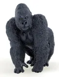 goryl