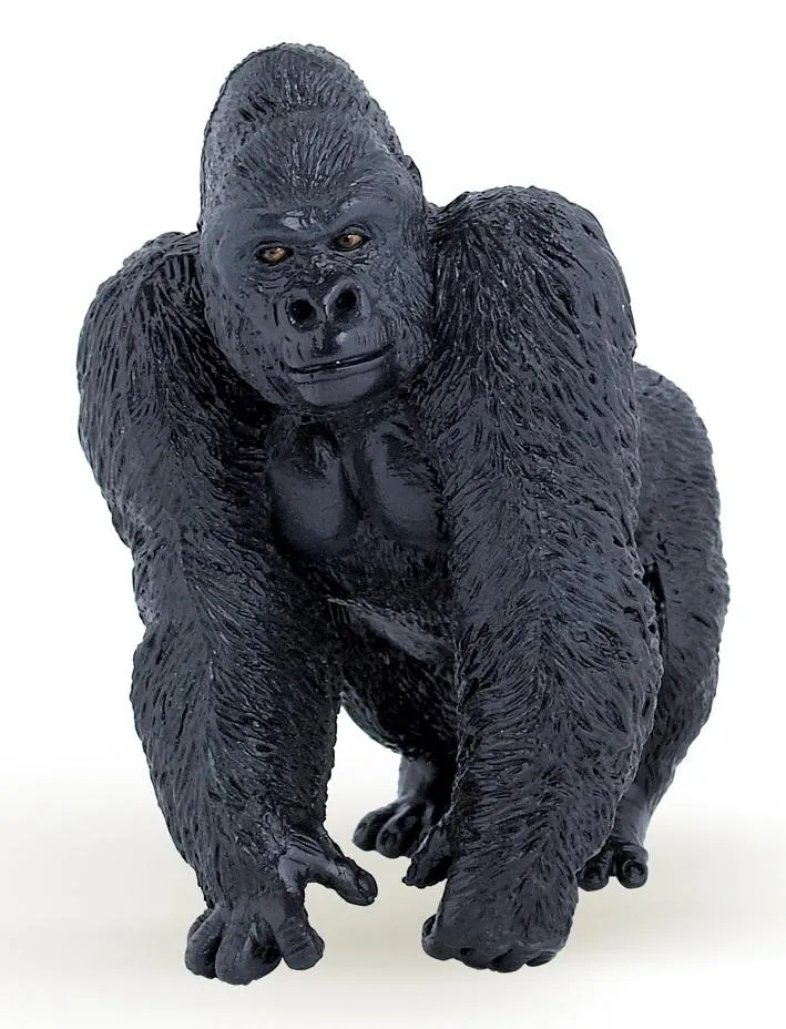 goryl