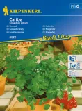 kolendra-caribe-8522