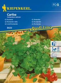 kolendra-caribe-8522
