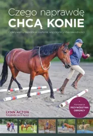 czego-naprawde-chca-konie