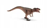 mlody-giganotosaurus