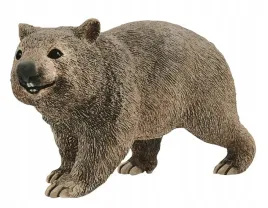 wombat