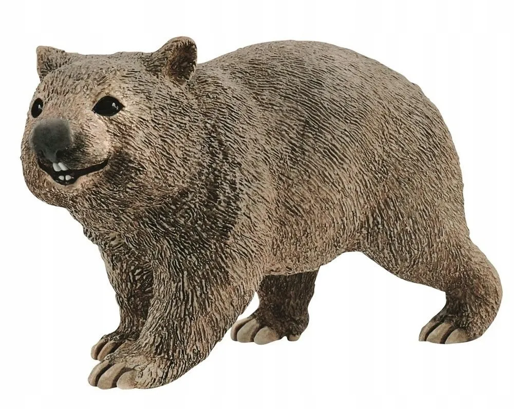 wombat