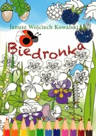biedronka