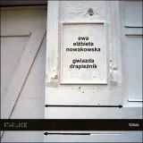 gwiazda-drapieznik