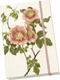 notatnik-ozdobny-a5-stnote-103-roze