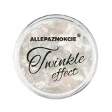 pylek-do-paznokci-twinkle-effect-nr-2