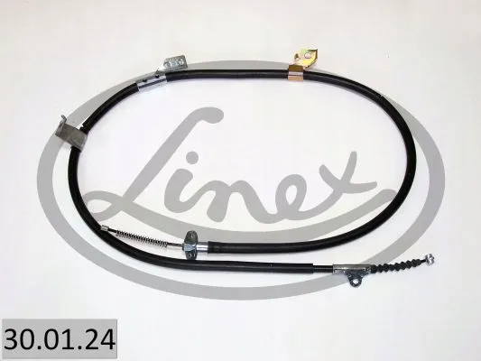 linex-30-01-24-ciegno-hamulec-postojowy
