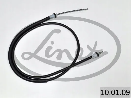 linex-10-01-09-ciegno-hamulec-postojowy