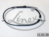 linex-11-01-38-ciegno-hamulec-postojowy