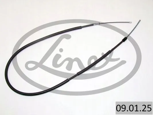 linex-09-01-25-ciegno-hamulec-postojowy