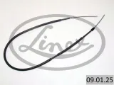 linex-09-01-25-ciegno-hamulec-postojowy