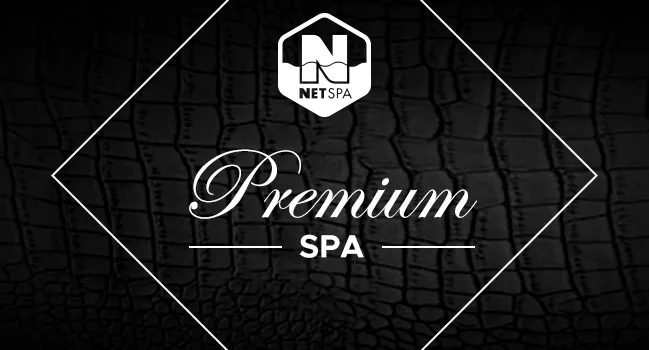podwojne-dmuchane-spa-jacuzzi-ogrodowe-netspa-python-stan-nowy