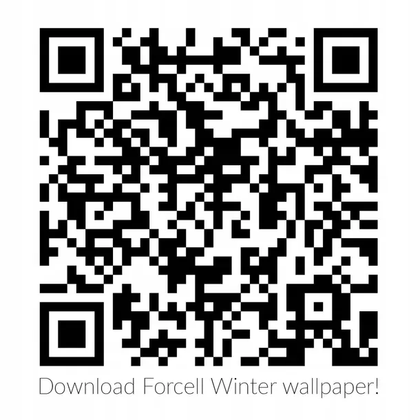 futeral-forcell-winter-21-22-do-iphone-13-pro-funkcje-pochlanianie-wstrzasow