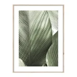 obraz-artbox-macro-50-x-70-cm