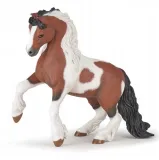 kon-irish-cob