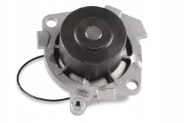 hepu-p1045-pompa-wodna