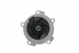 valeo-529516-pompa-wodna