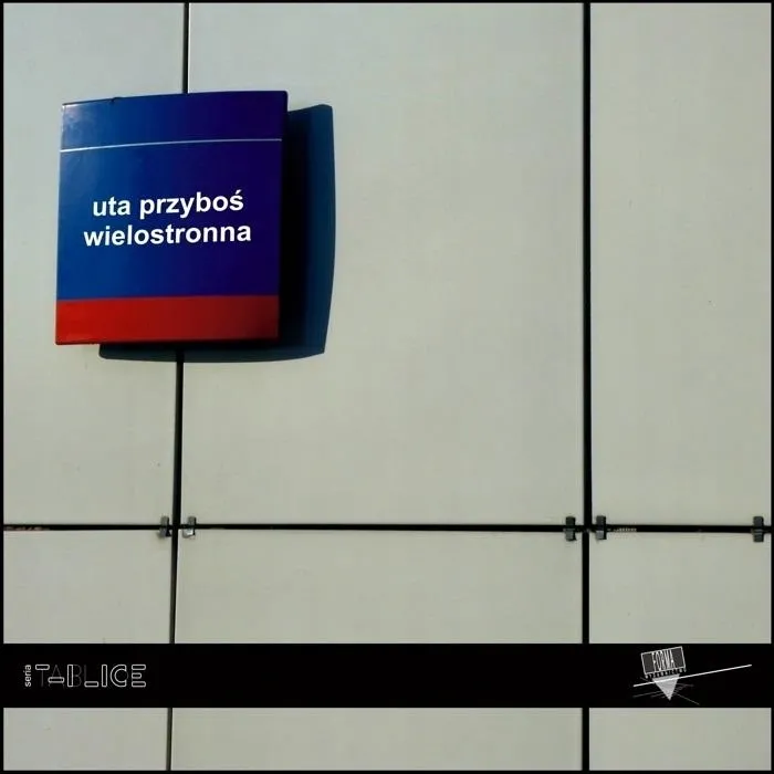 wielostronna