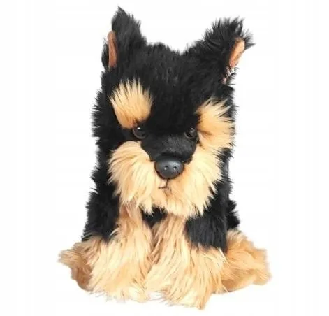 morkie-30cm