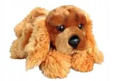 spaniel-30cm