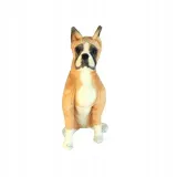 boxer-siedzacy-64cm