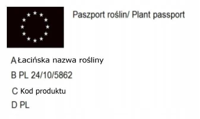 p9-rozanecznik-rhododendron-hachmann-s-feuerschein-rodzaj-rosliny-rozaneczniki-i-azalie