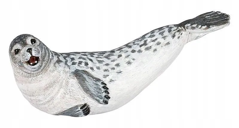 foka