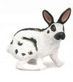 krolik