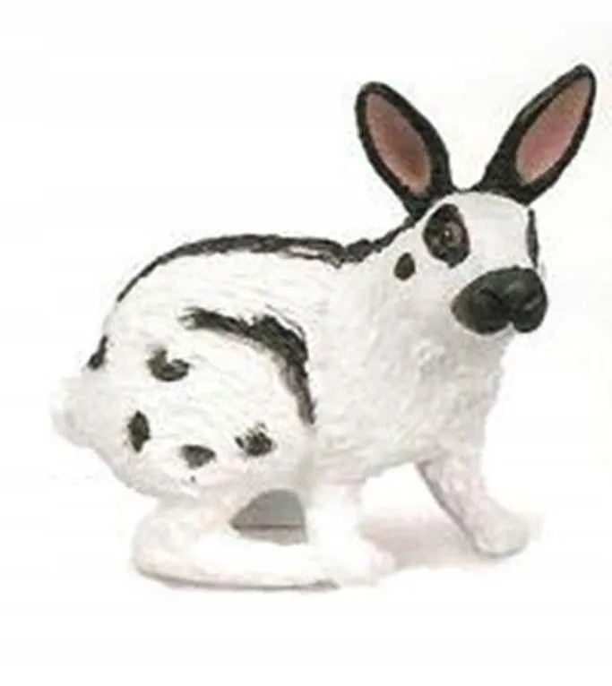 krolik