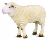 owca