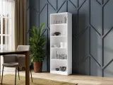 regal-r60-biel