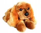 spaniel-62cm