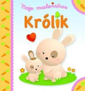 moje-malenstwo-krolik