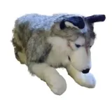 husky-71cm