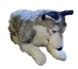 husky-71cm