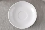 kamelia-spodek-15cm