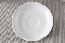 kamelia-spodek-15cm
