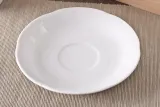 kamelia-spodek-15cm-stan-nowy