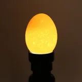 zeco-mini-light-przeswietlarka-owoskop-mini