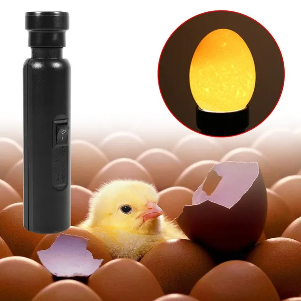 zeco-mini-light-przeswietlarka-owoskop-mini
