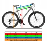 rower-mtb-29-kands-guardian-rozmiar-kola-29