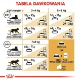 royal-norwegian-forest-cat-400g-karmy-specjalne-nie-dotyczy