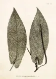 karnet-st294-b6-koperta-pieprz-2