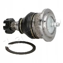 japko-sworzen-73520