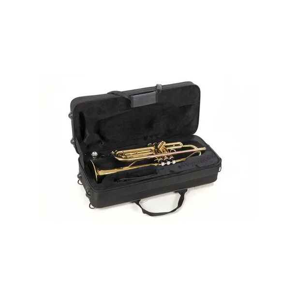 roy-benson-tr-101-trabka-w-stroju-bb-stan-nowy