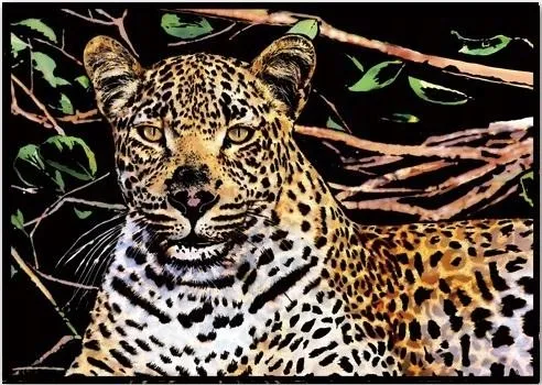 magiczna-zdrapka-leopard-405x285cm