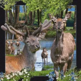 magnes-3d-jelen